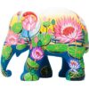 Amazing Lotus - Image 3