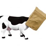 Cow Hide (medium resin)