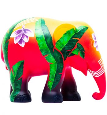 Elephas Musa 75CM