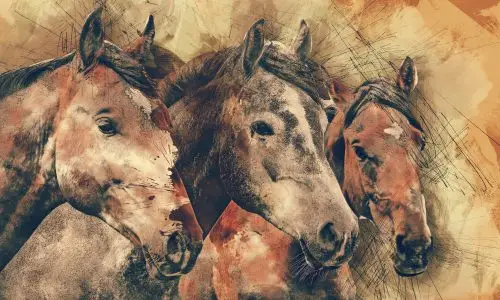 horses-gbece1670a_1920
